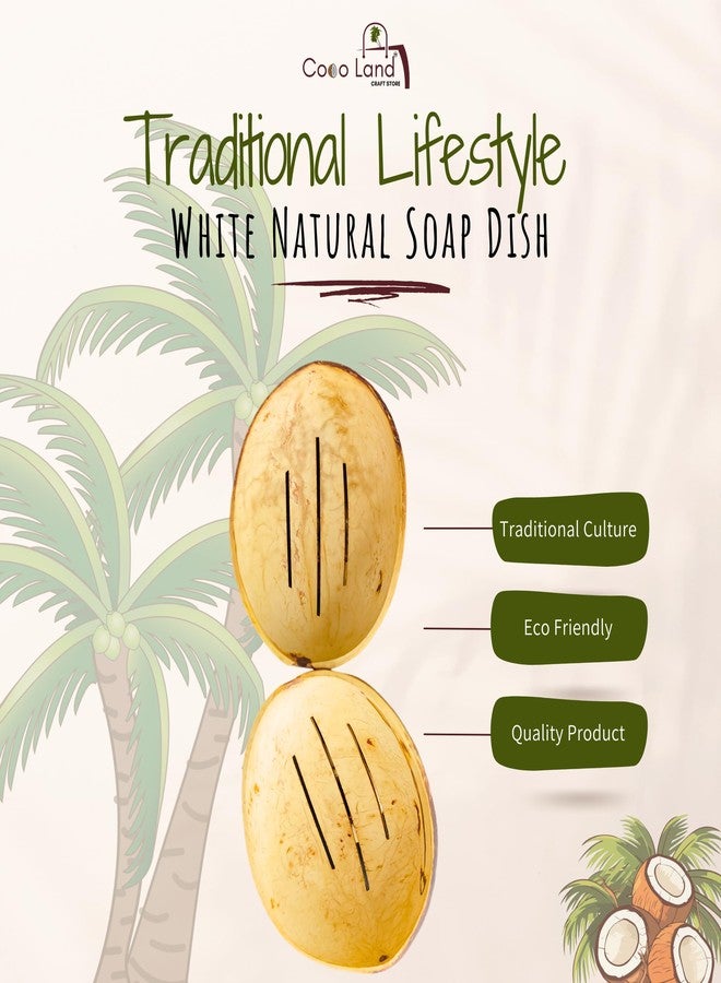 Coco Land White Coconut Shell SOAP Dish (Pack of 1) Coconut Oil Polished Natural Soap Pot/Soap Stand/Bathroom Decoratives/Soap Holder/Soap Case/Soap Box - Image 4